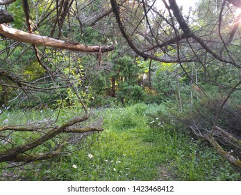 Secret Garden In Cedarburg Wisconsin 