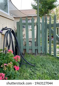 Secret Garden Gate In Greens And Growing