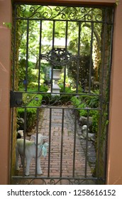 Bilder Stockfoton Och Vektorer Med Savannah Garden Shutterstock