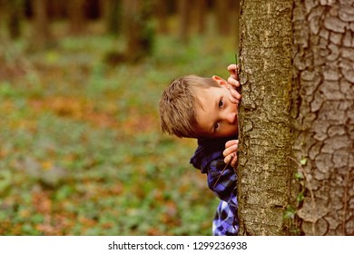 8,737 Hiding behind tree Images, Stock Photos & Vectors | Shutterstock