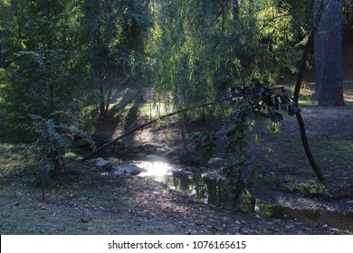 Secret Nature Hideaway - Shutterstock ID 1076165615
