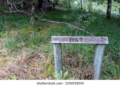 Secret rave. Temporary sign for an organised party in the woods. Possibly Illegal festival signposted with the word RAVE in letters on a plank of wood signpost in the forest.  - Shutterstock ID 2196918543
