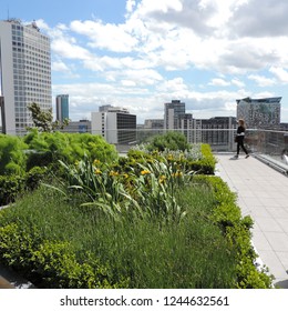 The Secret Roof Garden Of The Birmingham Library 