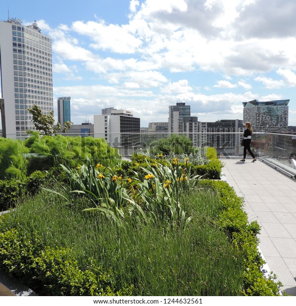 The secret\
roof garden of the Birmingham Library\
