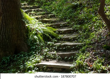 Secret Steps In Garden.