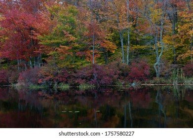 Secrets Of An Autumn Morning. Destination Gouldsboro State Park In Northeastern Pennsylvania