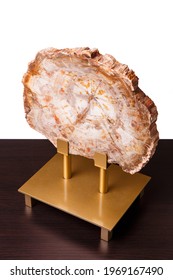 A section of ancient petrified wood, polished and impregnated with epoxy resin, is used to decorate the interior of a home or office. Isolated on white background.