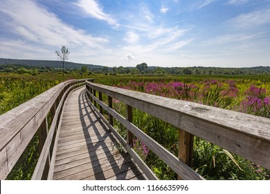 Section Of The Appalachian Trail Boardwalk In Pawling, New York