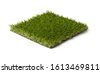 synthetic grass isolated