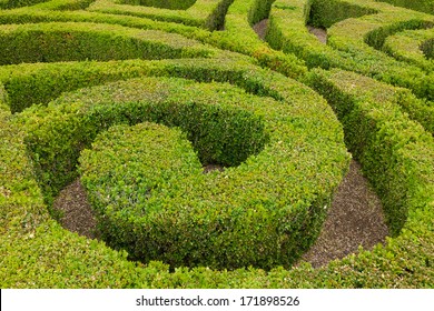 Section Of Formal Knot Garden