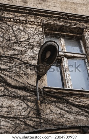 a section of an old tenement building whose walls are covered in ivy