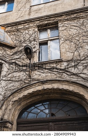 a section of an old tenement building whose walls are covered in ivy