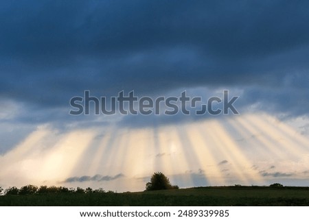 Section of the sky with part of the dense dark storm cloud and sun rays from behind a this cloud above the field at sunset in summer 