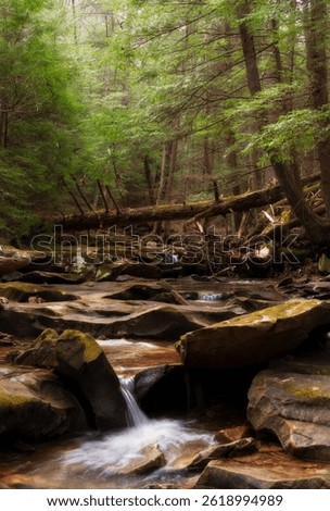 A section of stream bed on Bear Creek in Shawnee State forest near Snake Hollow.  Take in  mid April on a sunny afternoon. 
