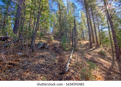 A Section Of The Telephone Trail North Of Sedona AZ That Is Soft And Muddy. It Is Also Very Steep At A 45 Degree Angle. Climbing It Can Be Difficult Without Proper Footwear.