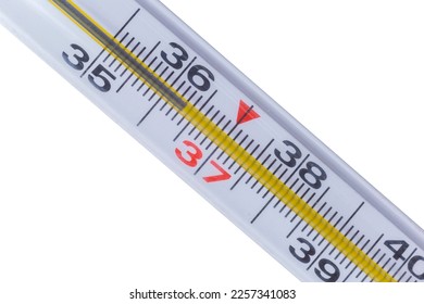 a section of a thermometer on a white background