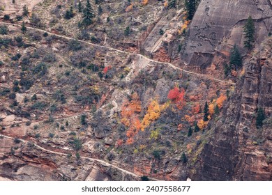 A section of Weeping Rock Trail as it cuts through steep canyon walls in a z pattern with colorful fall trees at Zion National Park, Utah.