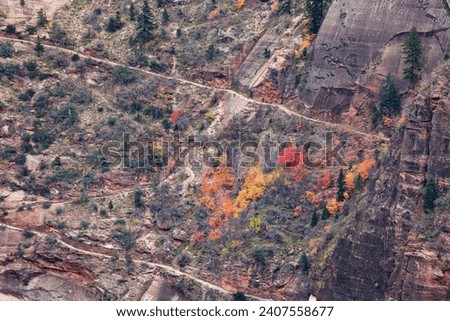 A section of Weeping Rock Trail as it cuts through steep canyon walls in a z pattern with colorful fall trees at Zion National Park, Utah.
