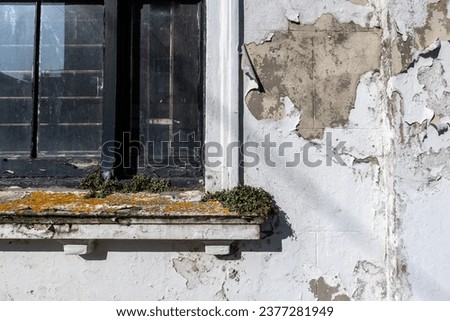 Section of window in an old run down industrial building with weeds growing out of the blockwork and peeling paint in an area of deprivation
