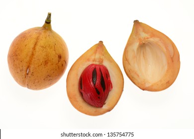 Sectional View Of A Ripe Nutmeg Fruit