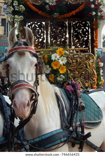 SECUNDERABAD,INDIA-OCTOBER 31:Horse driven cart waits in\
sikh Nagar Keertan,Traditional procession  on birthday of Guru\
Nanak,on October 31,2017 in Secunderabad                           \
       \
