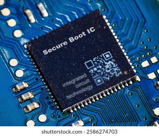 Secure Boot IC Ensures the integrity of firmware during system boot-up. integrated circuits ICs