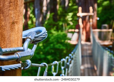 Secure Carabiner and Wire Rope on Forest Suspension Bridge Eye-Level View - Powered by Shutterstock