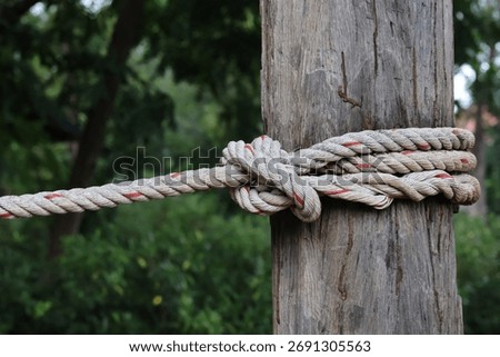 Secure robust rope forms intricate knot around weathered wooden pole, highlighting strength and dependability. Connection evokes stability, reliability, enduring attachment within natural outdoor