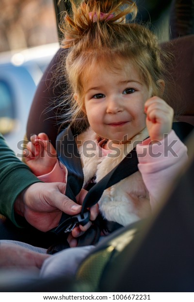securing toddler
child in the car seat in
car
