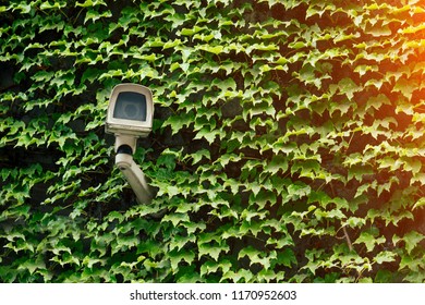 security camera on green background