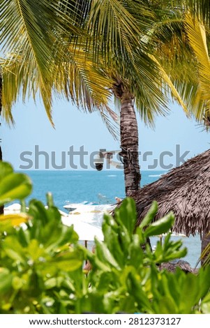 Security camera on a palm tree and beach umbrellas overlooking bright turquoise Phu Quoc sea on a sunny day