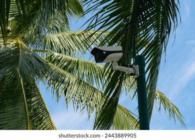 Security digital camera with palm trees , security , safety on the beach during holidays