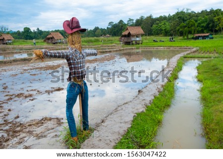 Security Do not allow the bird to eat the product effectively And the most widely used is 