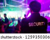 nightclub security