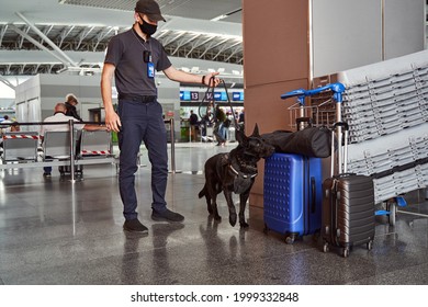 Security Guard And Detection Dog Checking Luggage At Airport