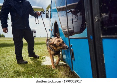 Security officer and detection dog inspecting vehicle at aerodrome - Shutterstock ID 1999332917