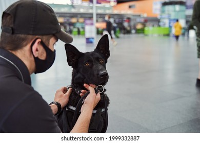 Security Officer With Detection Dog Working At Airport Terminal