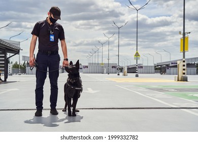 Security Officer And Police Dog Patrolling Territory Of Airport