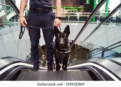 Security Officer With Police Dog Using Escalator At Airport