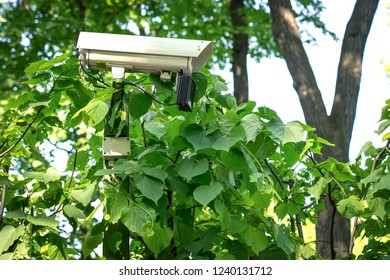 Garden Surveillance Images Stock Photos Vectors Shutterstock