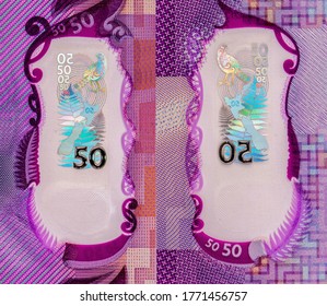 The security window. Portrait from New Zealand 50 Dollars 2016 Polymer Banknotes,