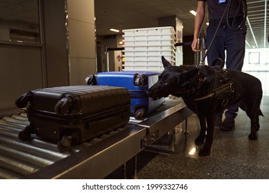 Security Worker With Police Dog Checking Luggage At Airport