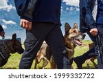 Security workers with detection dogs walking down airfield