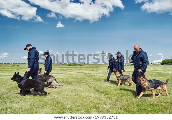 Security workers with detection dogs walking\
down aerodrome