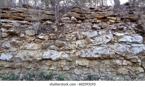 Sedimentary Limestone Outcrop, Horizontal Lines with Exposed Shrub and Tree Roots
