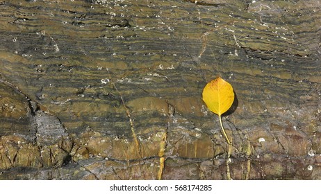 sedimentary rock pattern texture background.