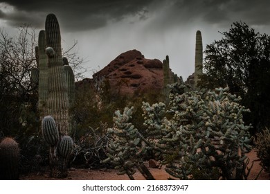 Sedona Az Nature Landscape Of The Desert