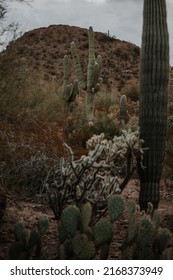 Sedona Az Nature Landscape Of The Desert