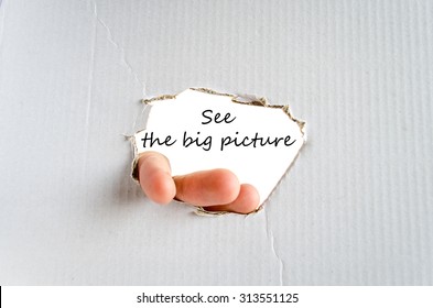 See The Big Picture Text Concept Isolated Over White Background