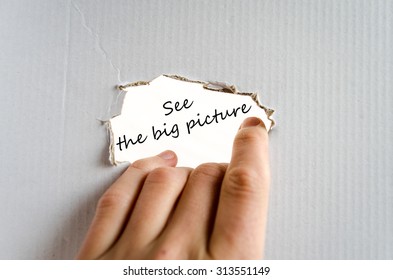 See The Big Picture Text Concept Isolated Over White Background